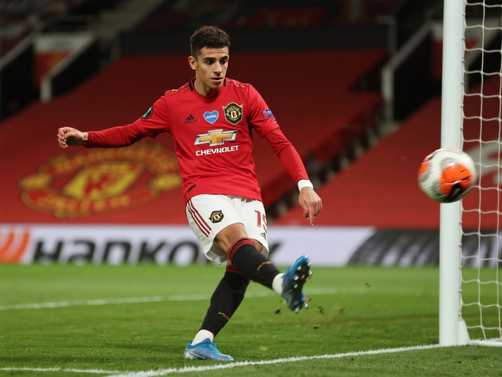 这种全方位 这种全方位